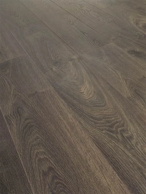 D 2025 LEYSIN OAK padlo (1)