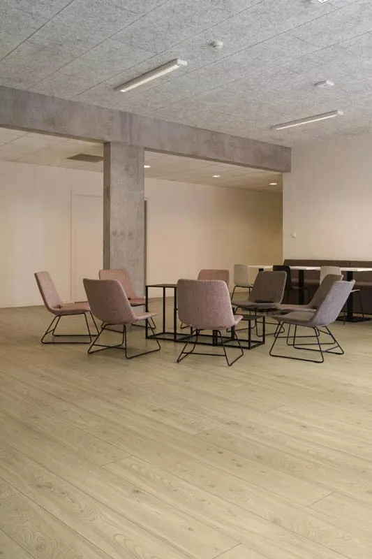 D 6116-ALPINE NATURE laminalt parketta (2)