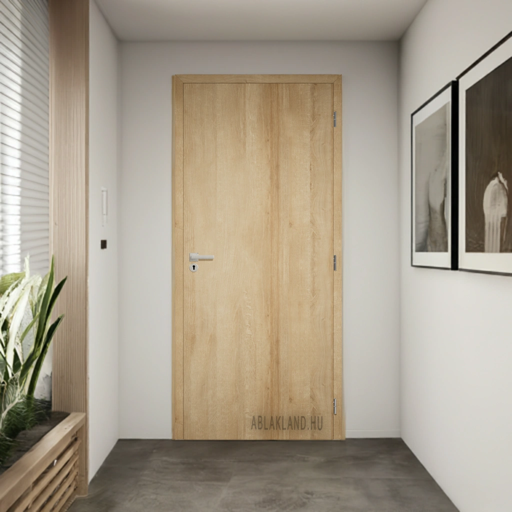 belteri-ajto-europai-tolgy (2)